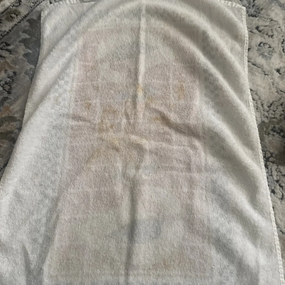 Vintage Cannon / Franco Goose  Kitchen Towel And Dishcloth